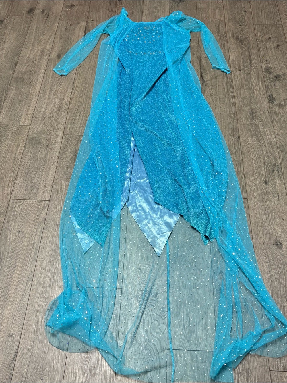 Elsa costume dress women’s